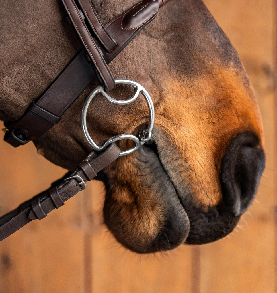 bevel, bit, horse bit, wilkie, b level bit, b bit, gag, gag bit, strong